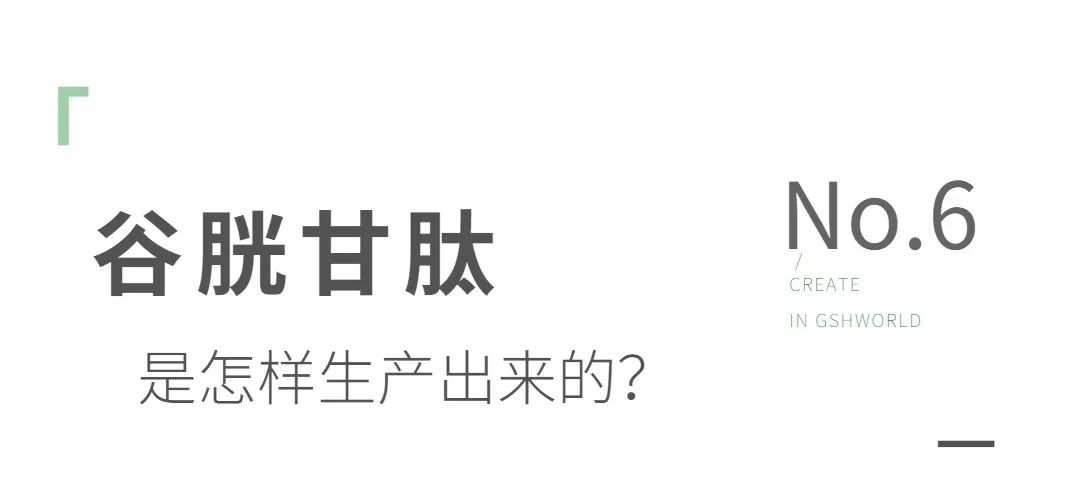 谷胱甘肽是如何生產(chǎn)的？