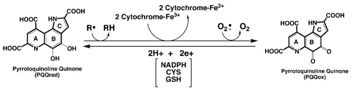 包含圖片、插圖等的外部文件。
對象名稱為 biomolecules-11-01441-g001.jpg