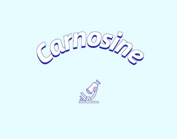 肌肽補充劑或可改善年輕群體認知