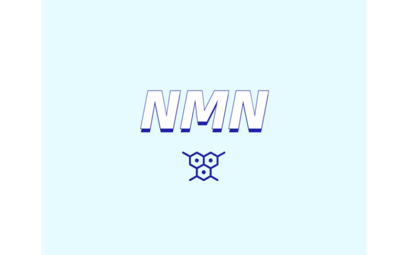 NMN為何是抗衰老研究熱點(diǎn)？