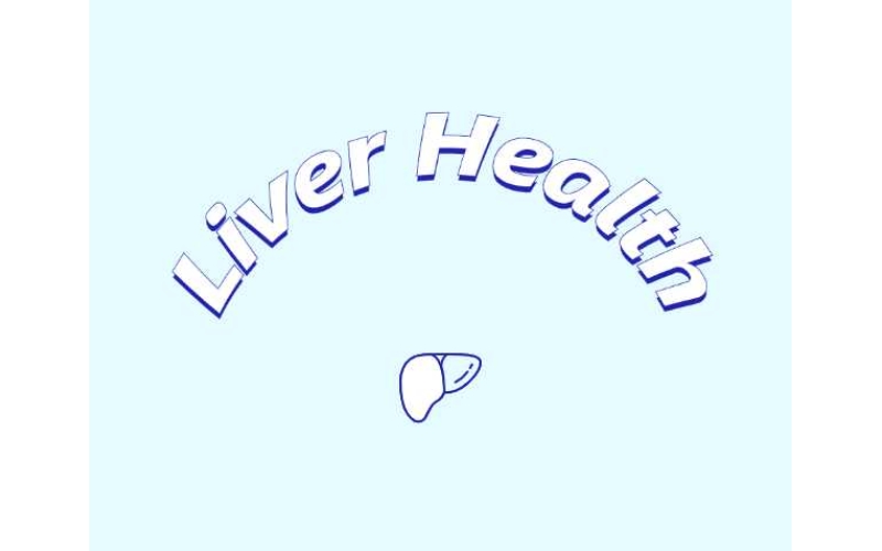 哪些原料可助力肝臟健康？