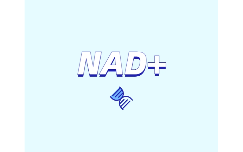 NAD與NMN的全新概念？